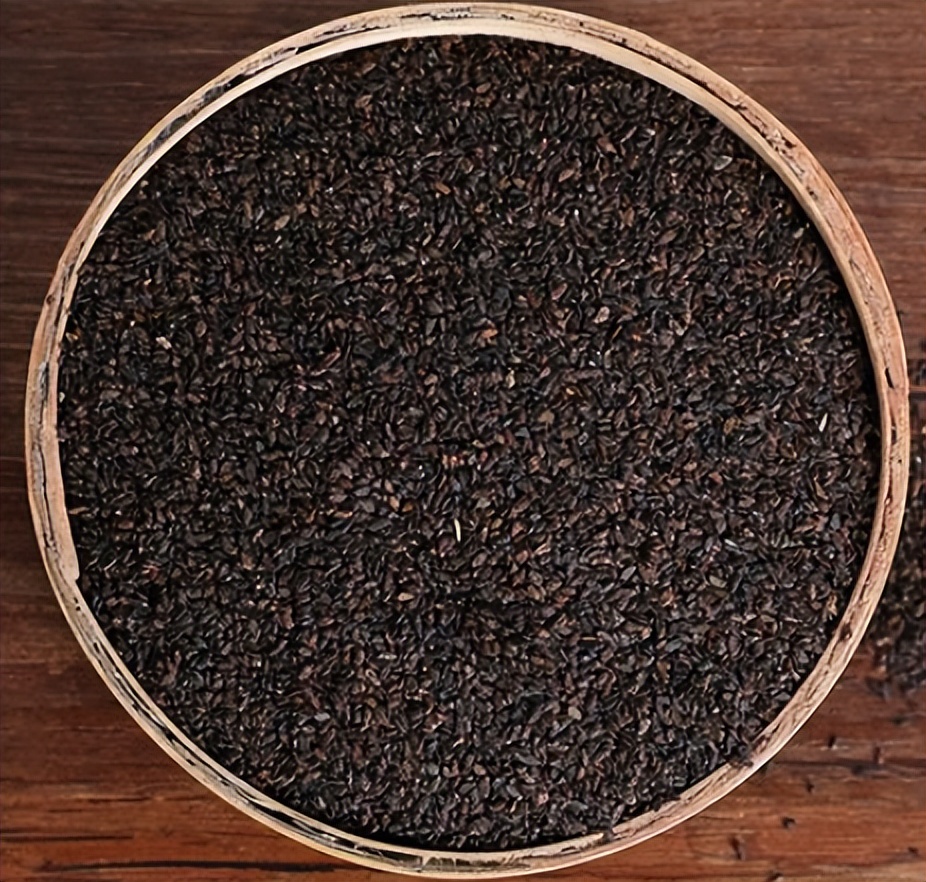 带你认识识别各种车,识别车前子