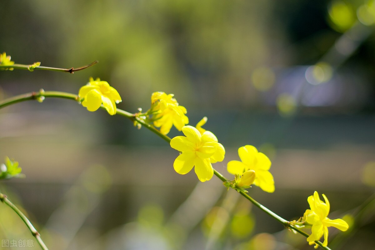 春暖花开人间有爱,迎接春暖花开愿所有美好如约而至