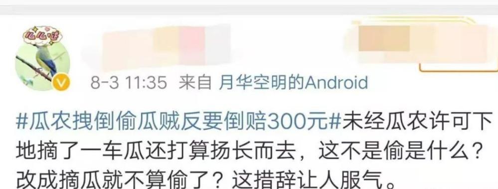 种植西瓜被偷农反而赔,西瓜被偷瓜农却倒赔300给小偷