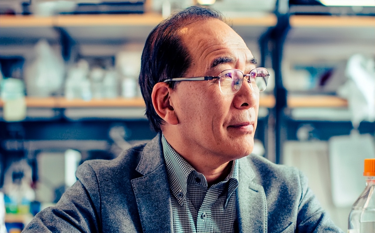 人类真的能杂交吗,人类动物能混血吗