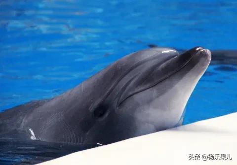 湖南长沙最有名的风景区域,湖南长沙有什么风景点