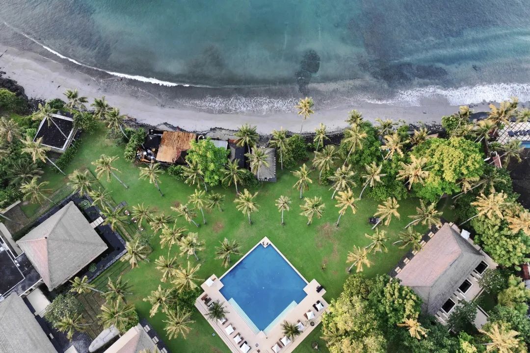 这可能是全球性价比最高的一家阿丽拉