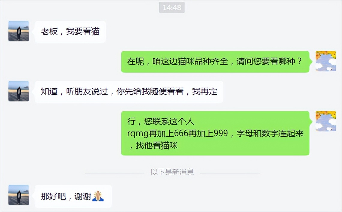 网上买猫真的全部不靠谱吗,猫市场买猫要注意什么