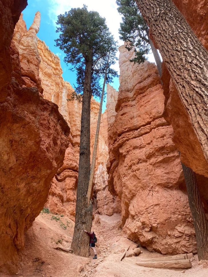 50个稀世珍宝,50个罕见的巨物让人惊叹