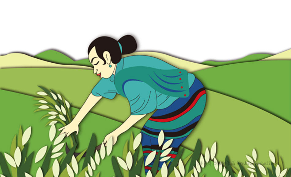 大米最好用的包装设计网站 (大米高端包装设计图片)