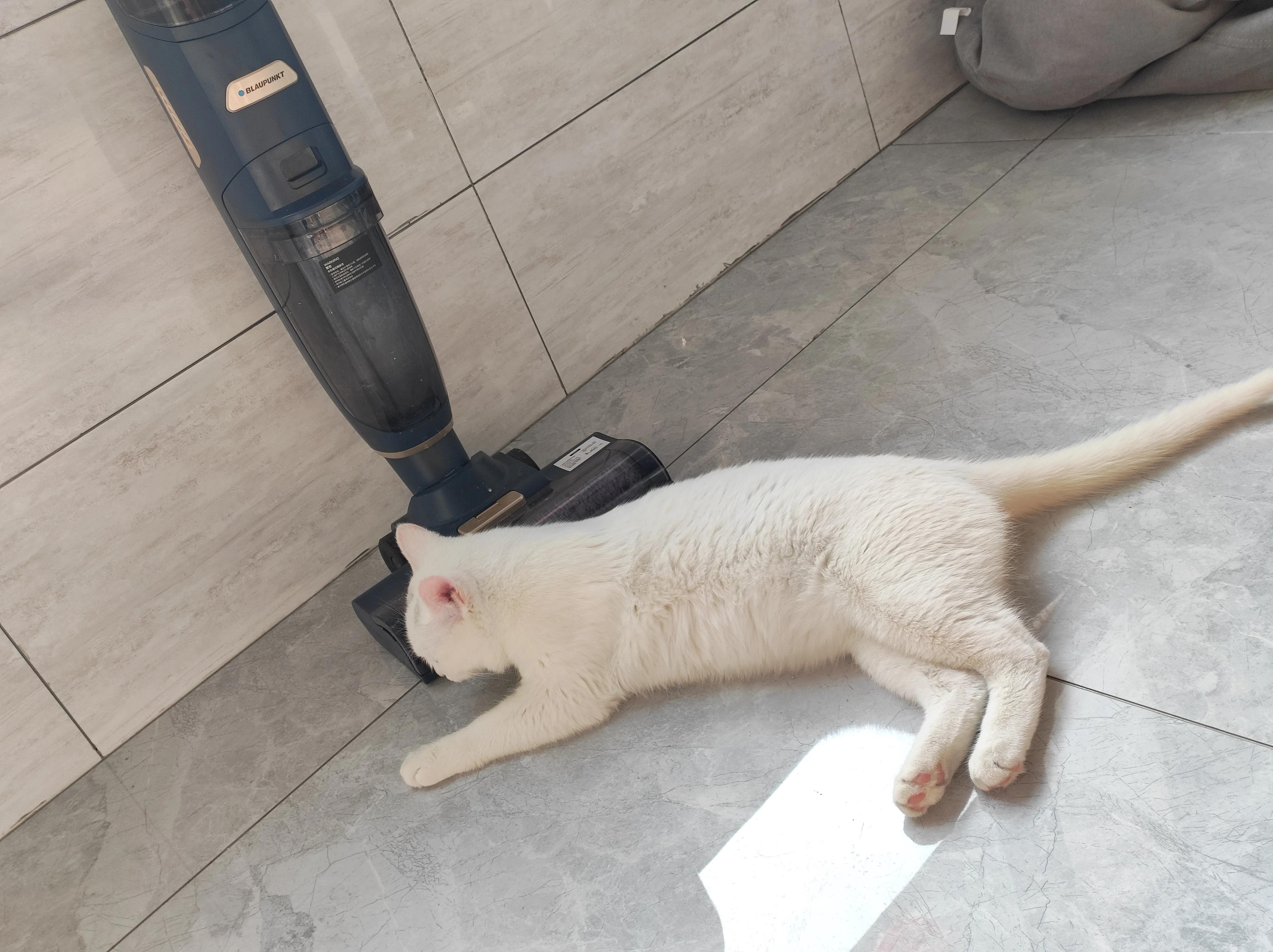 蓝宝全自动洗地机,德国蓝宝除菌洗地机