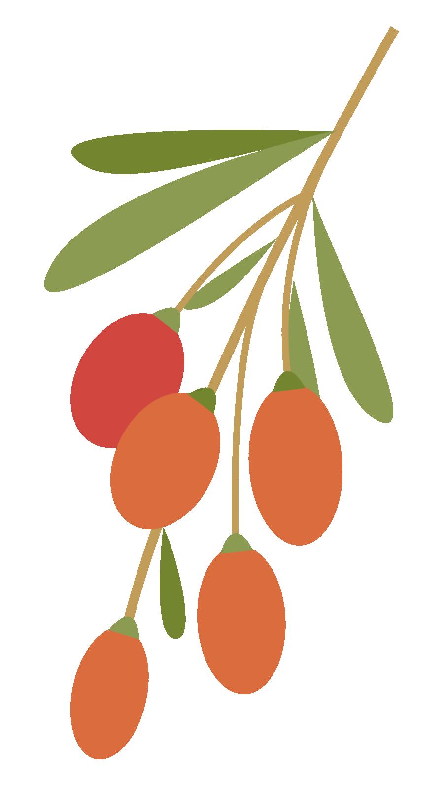 重庆江北中医院调理湿气,重庆市中医院专治体内湿气重