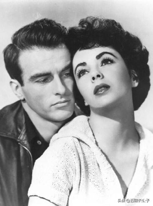 五部史诗级别的世界文学名著,世界讽刺现实主义名著