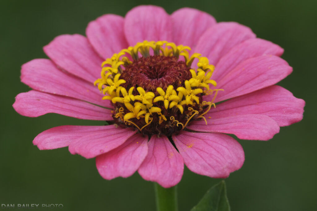 富士xf23mmf1.4镜头参数,富士xf50f2rwr镜头怎么样