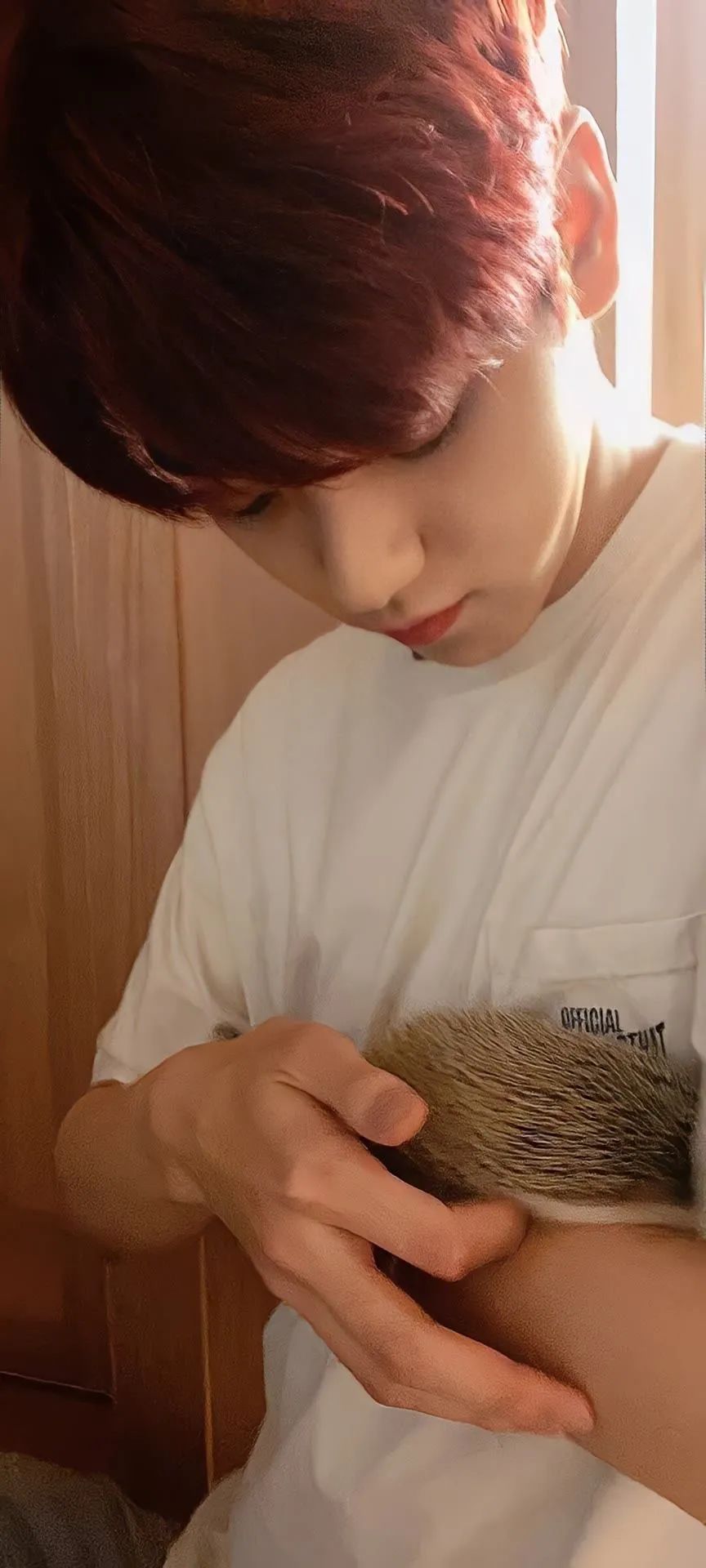 电脑壁纸高清全屏ins风无水印可爱,壁纸合集粉色系好运壁纸