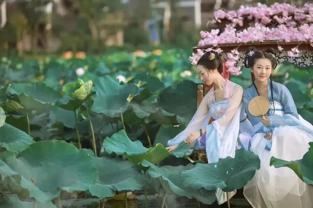 长沙端午自由行,端午推荐去哪里游玩长沙