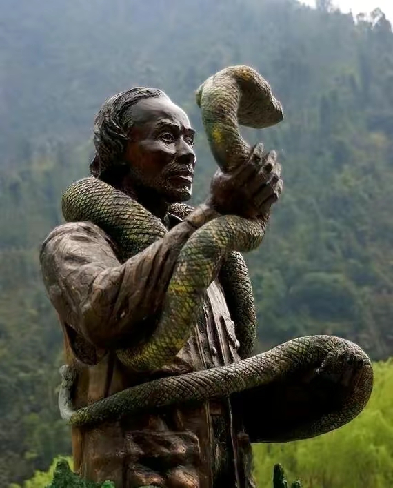 中国几百条的蛇,我国现存莽山烙铁头蛇数量