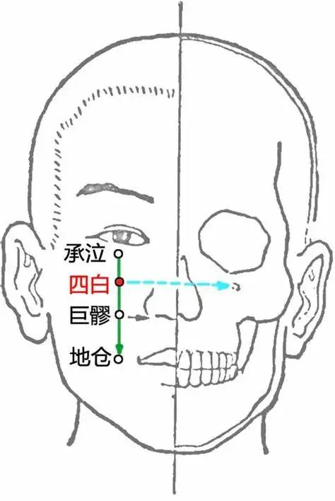 按摩眼睛哪个穴位去黑眼圈,熊猫眼穴位按摩