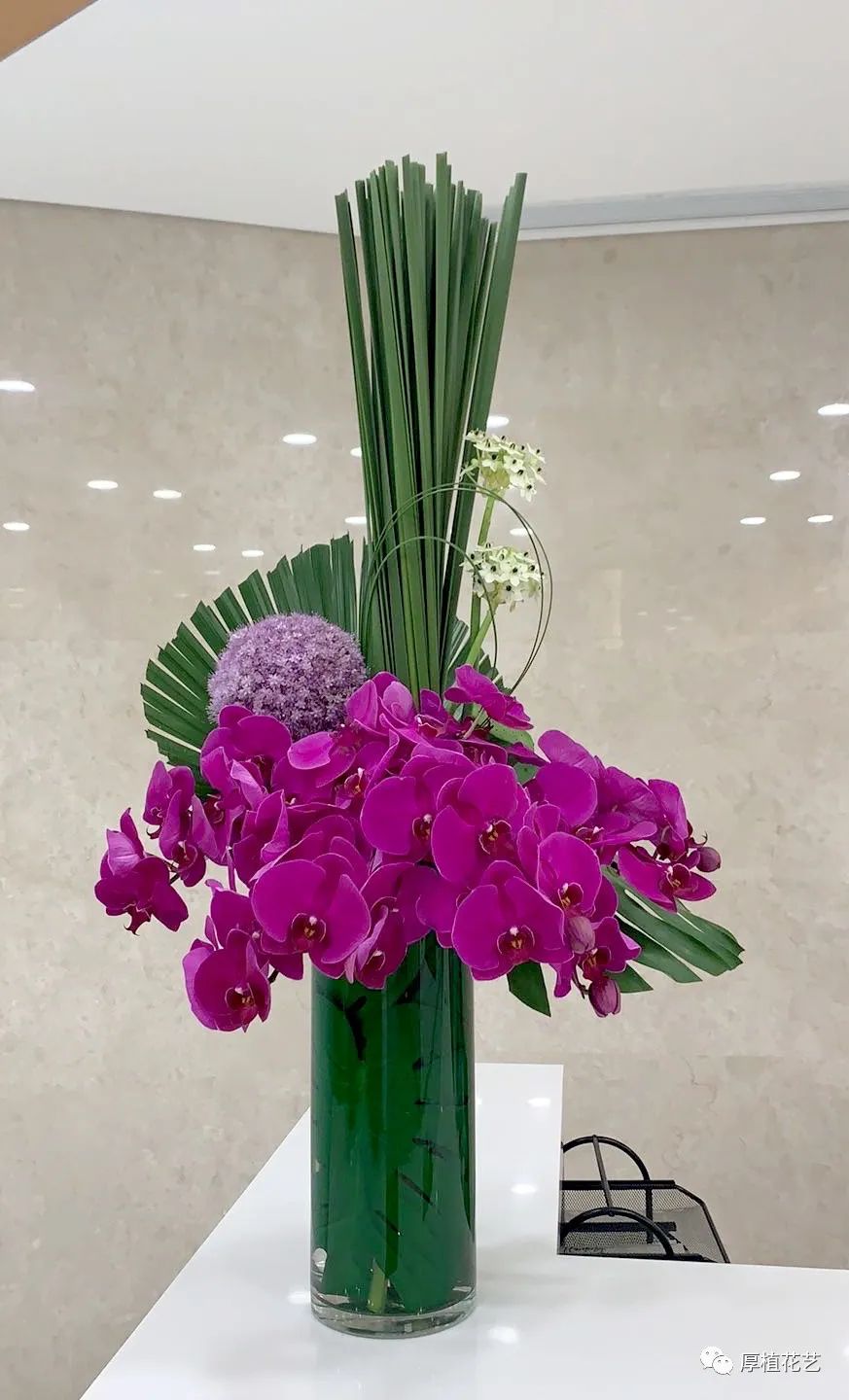 商务前台鲜花,前台花选择