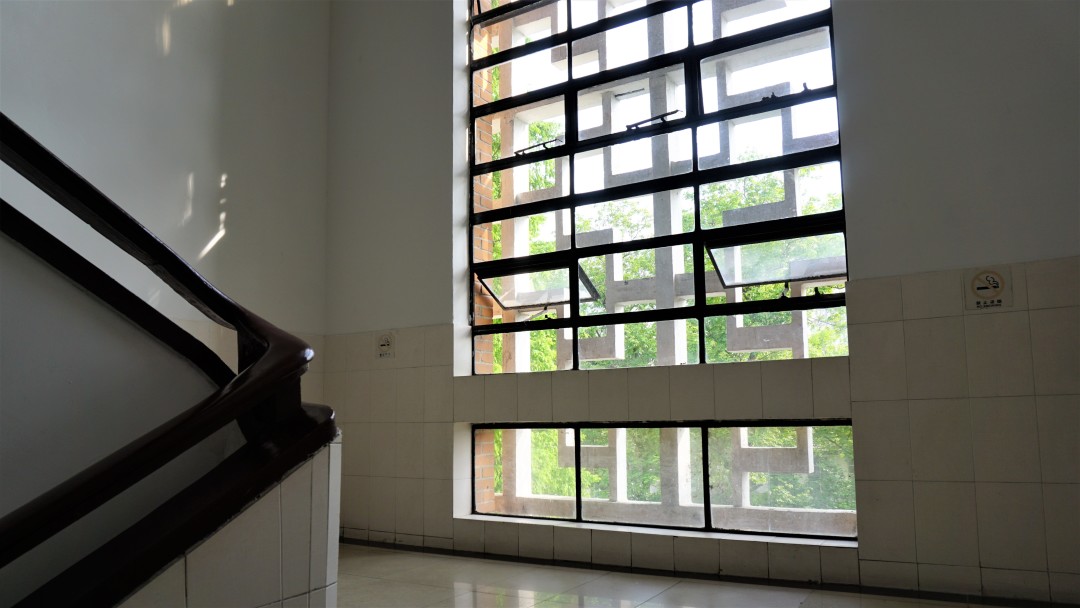 同济大学有多漂亮,同济大学的浪漫