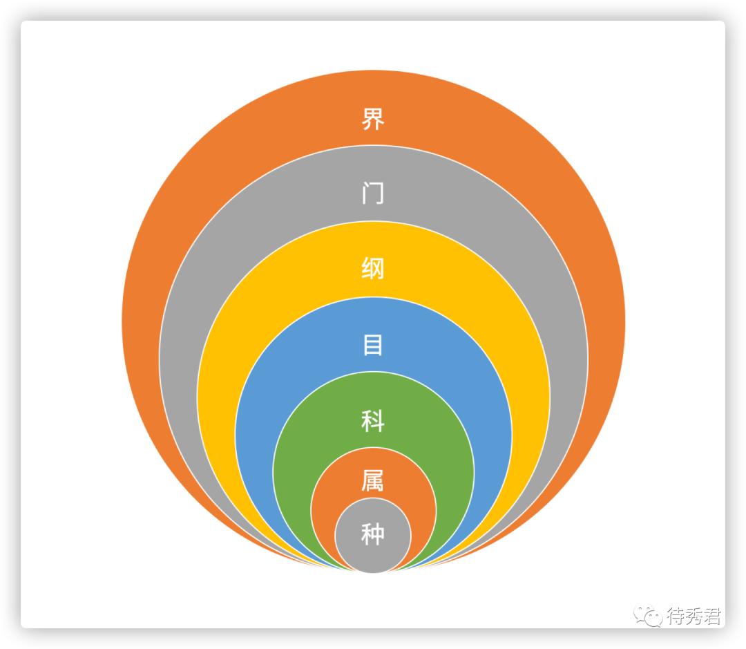 你真的了解实木吗,实木家具的骗局