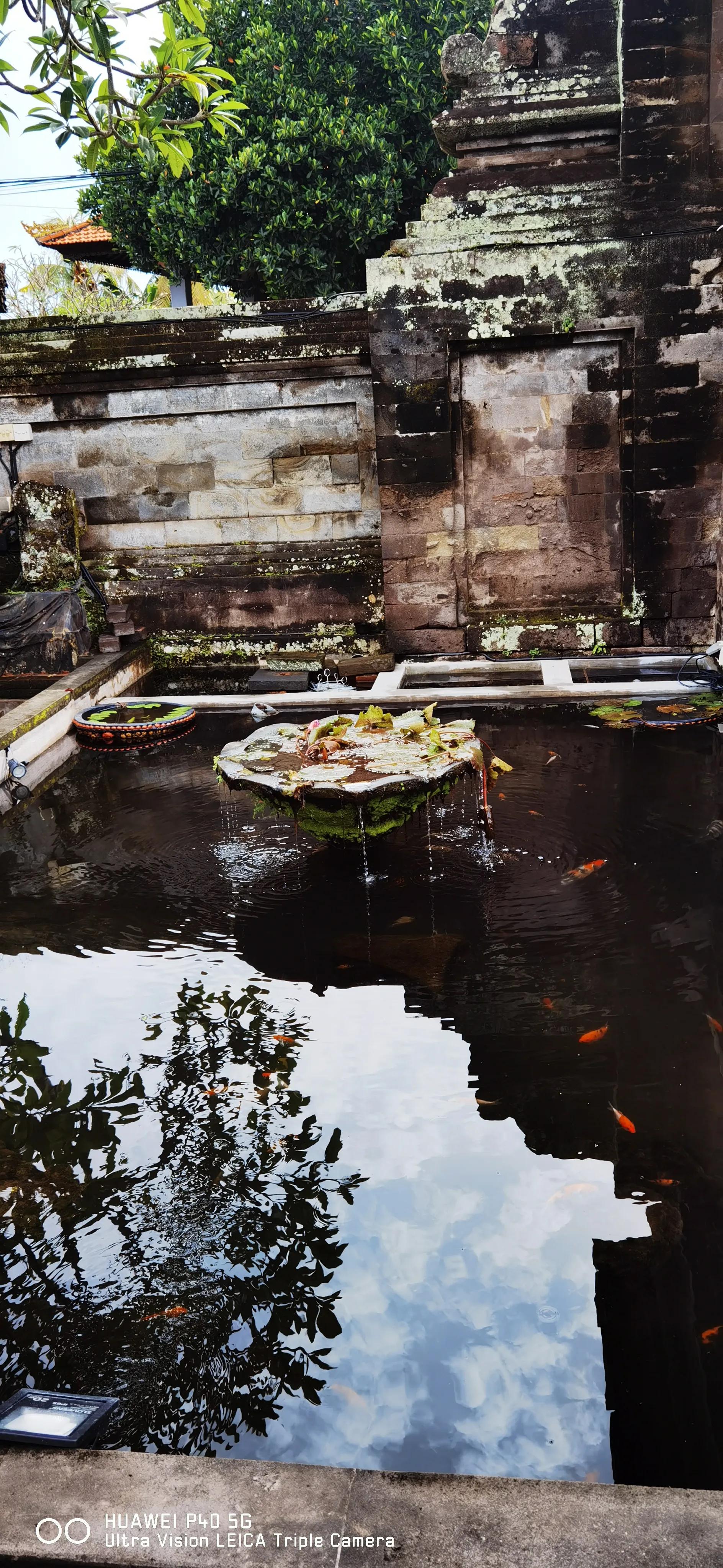 两游客巴厘岛命案最新消息,巴厘岛命案被5个人杀