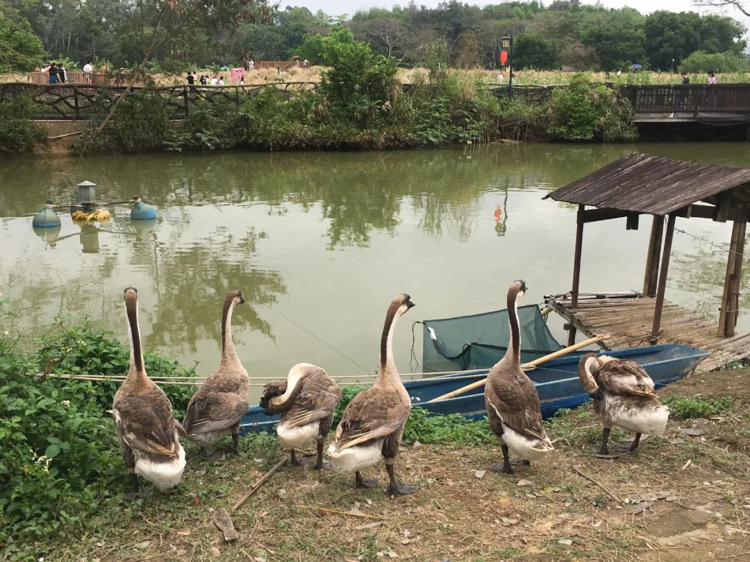 旭光电动车行,旭光车行向阳路