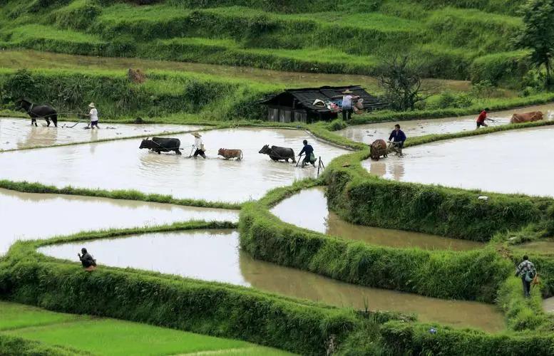 当个农民需要哪些证,当农民需要农民证件吗