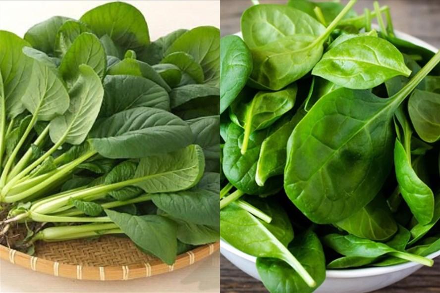 冬天养肾吃什么食物对肾有好处,冬季养肾要吃哪些食物最好