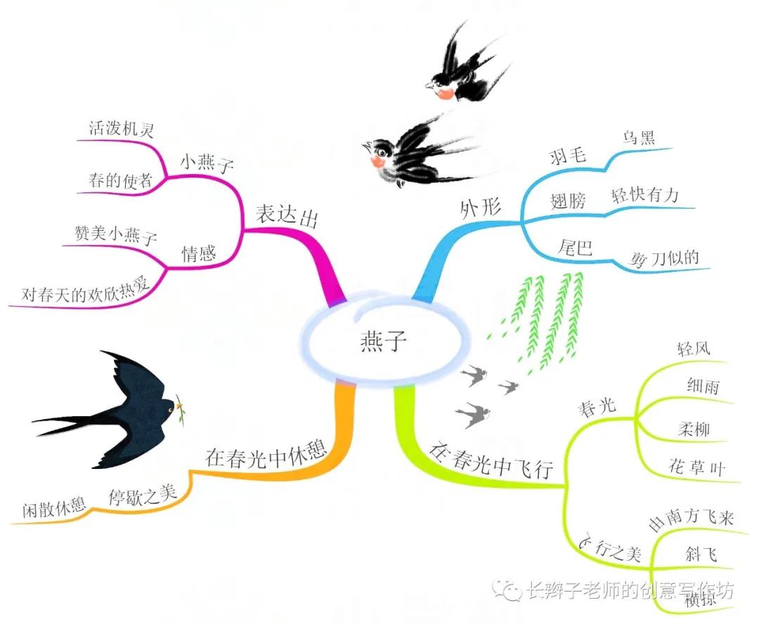 三年级下册语文13课花钟思维导图,语文三年级基础知识点思维导图
