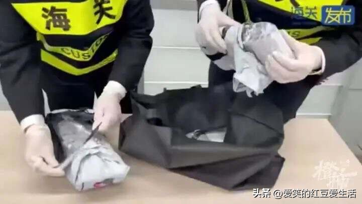 携带孕妇血液样本出境被查,福建海关查获孕妇血液样本