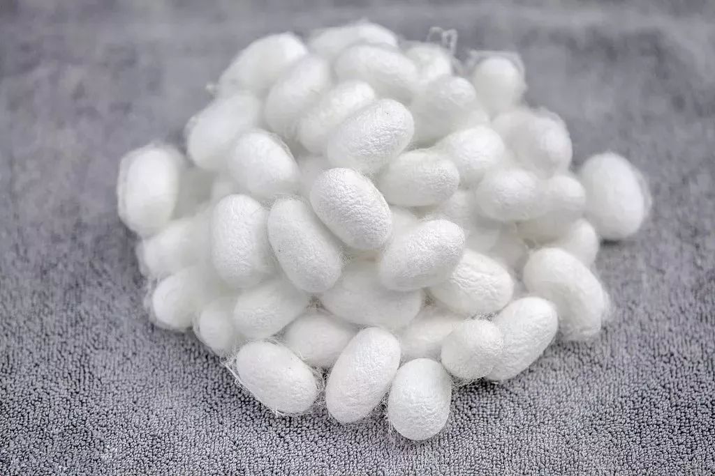 蚕丝被200和1000的区别,200多的蚕丝被怎么样