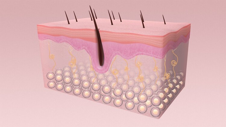 肛门周围潮湿瘙痒如何解决,肛门潮湿瘙痒灼热伴有尿频尿灼热