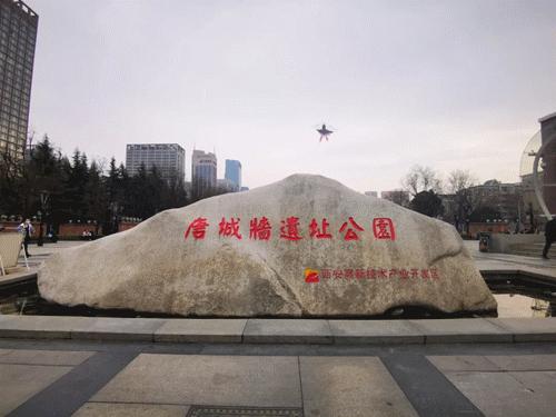 西安周末带娃去哪赏花放风筝,西安冬天周末户外遛娃好去处推荐