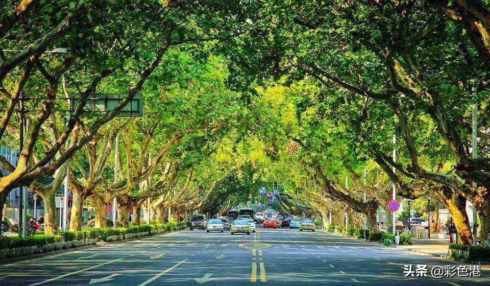 豁蒙楼诗窗｜彩绘万里长江，需要如椽大笔，还需要更多的丹青手