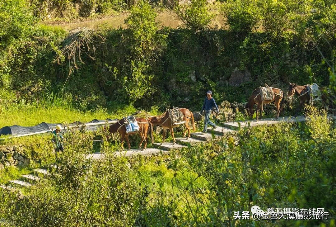 古堰瓯江帆影,古堰画乡赏瓯江帆影攻略