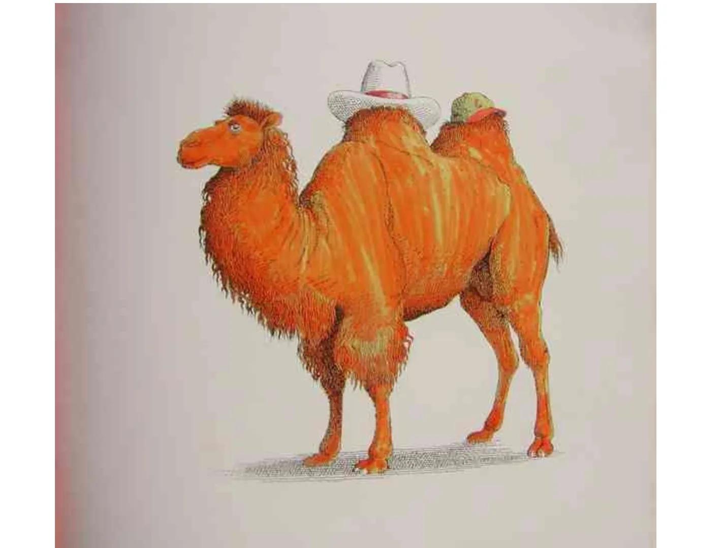 ppt绘本故事制作优势,ppt绘本里的动物动起来