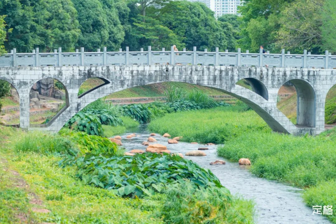 家住深圳必去的公园绿道,深圳环湖绿道好玩么