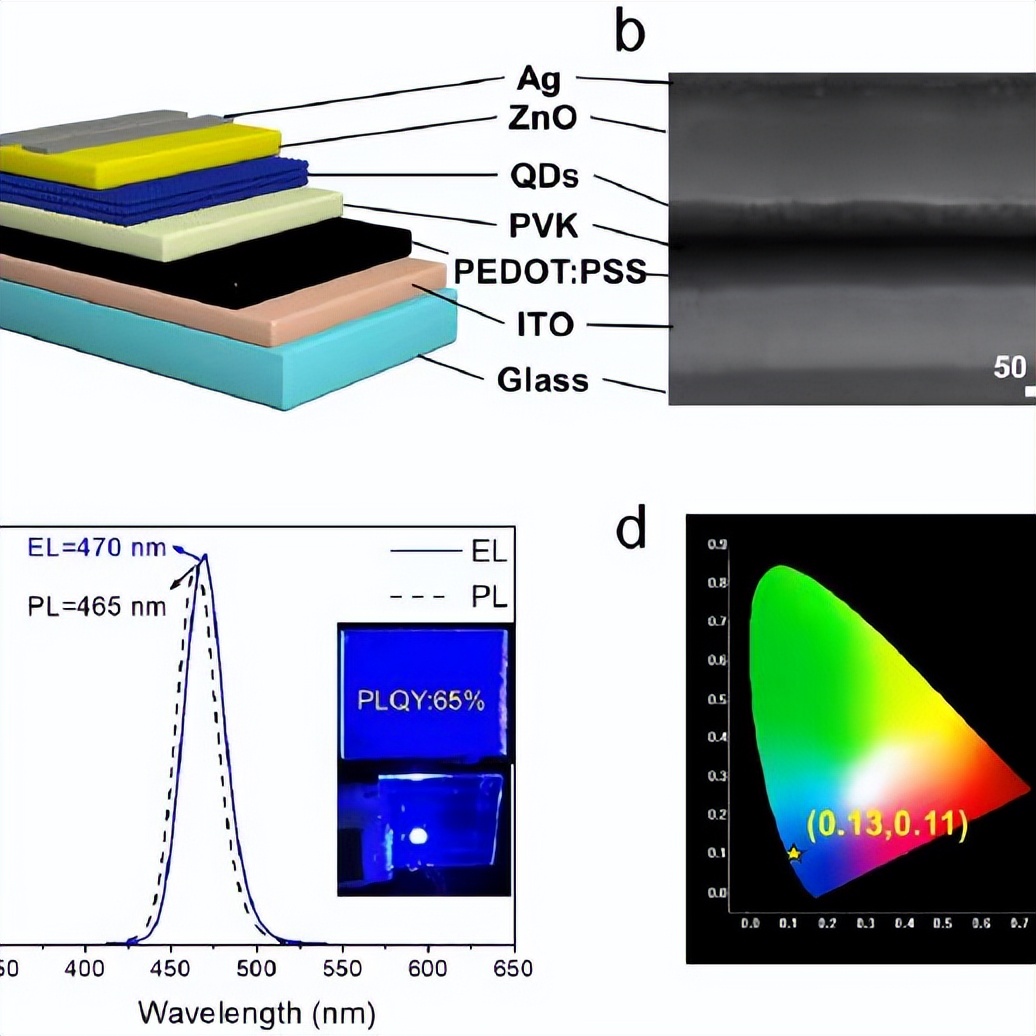 喜报获得金奖,喜报省特等奖