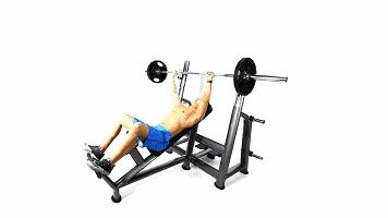 新人健身房健身一周训练计划,新手家庭健身一周训练计划