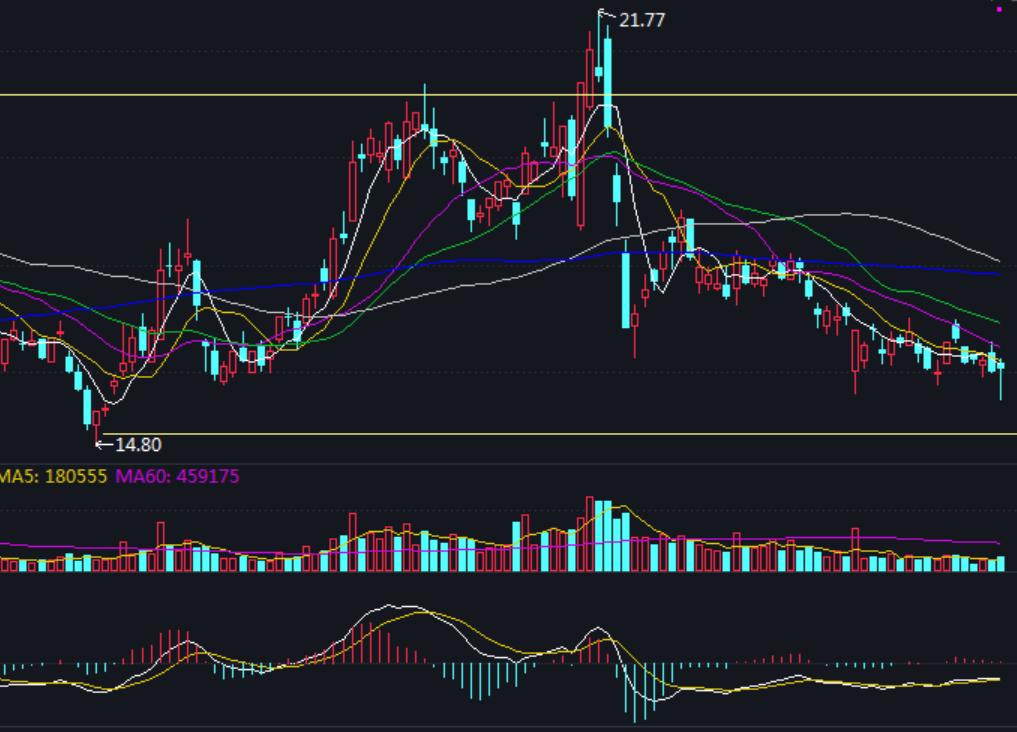 随心动含义,随心意交易软件怎么样