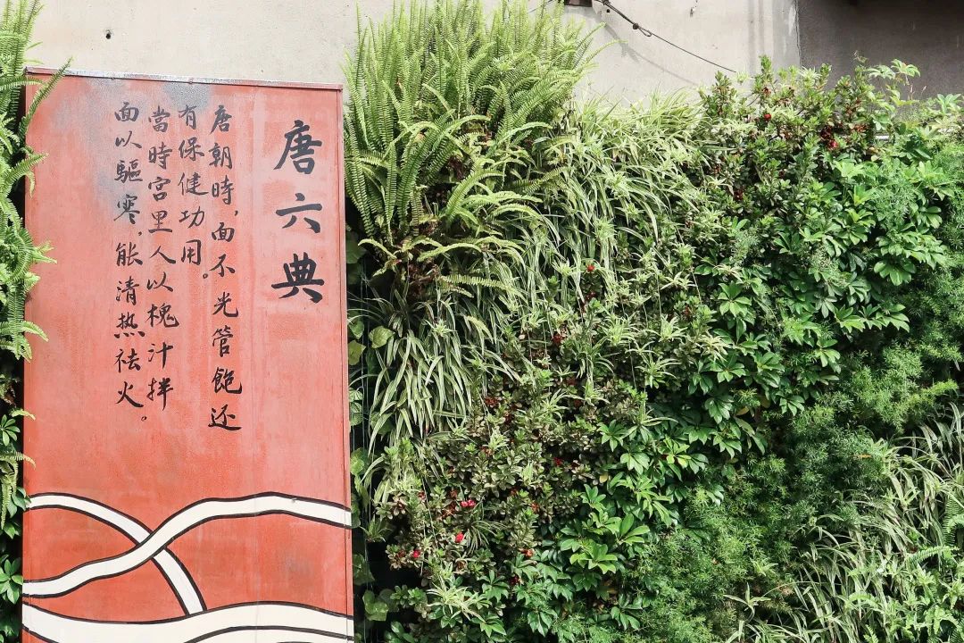 成都面街,成都面街美食一条街