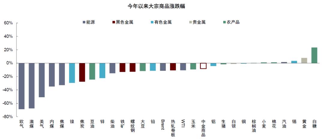 中金公司2024大宗商品展望,中金下周股价预测