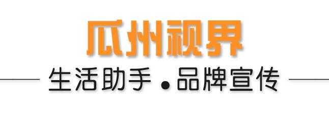 选调公告2024,选调生报考条件