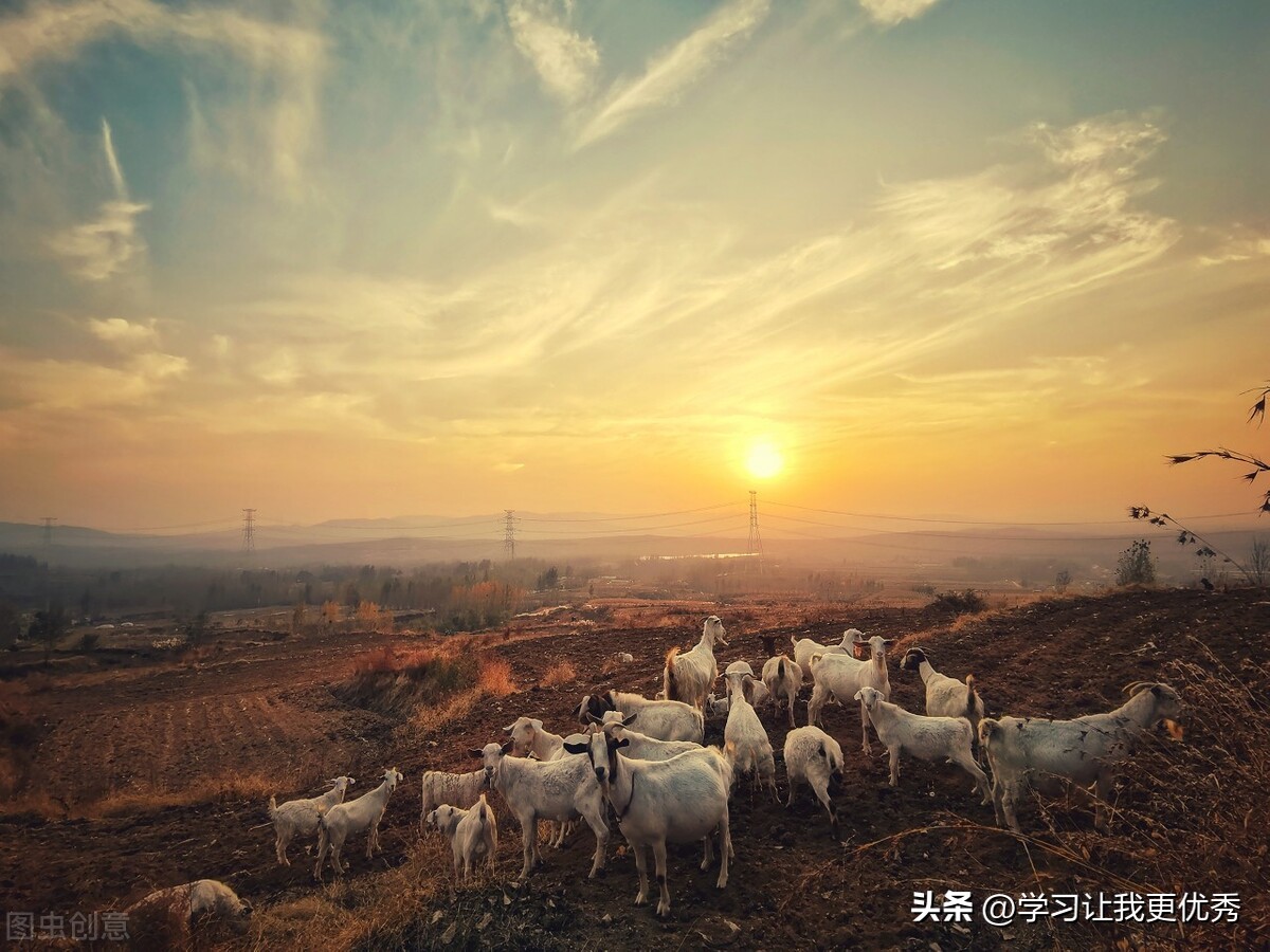 如何避免忧郁消极情绪,60岁负面情绪太重怎么办