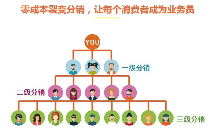 什么是传销、分销，分销与传销的区别？