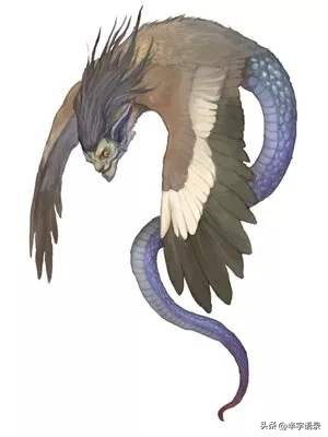 山海经异兽录本命异兽,山海经496个异兽排名榜