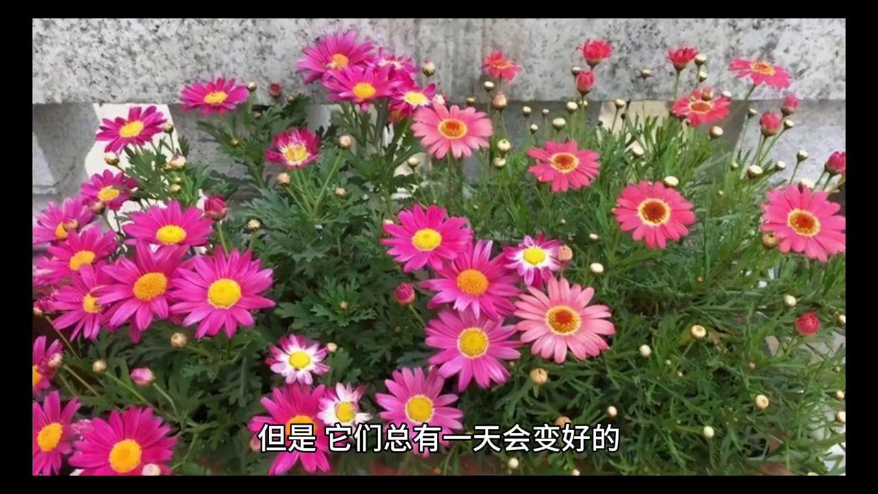 我的生活是彩色的作文,我的生活是七彩的作文200字左右