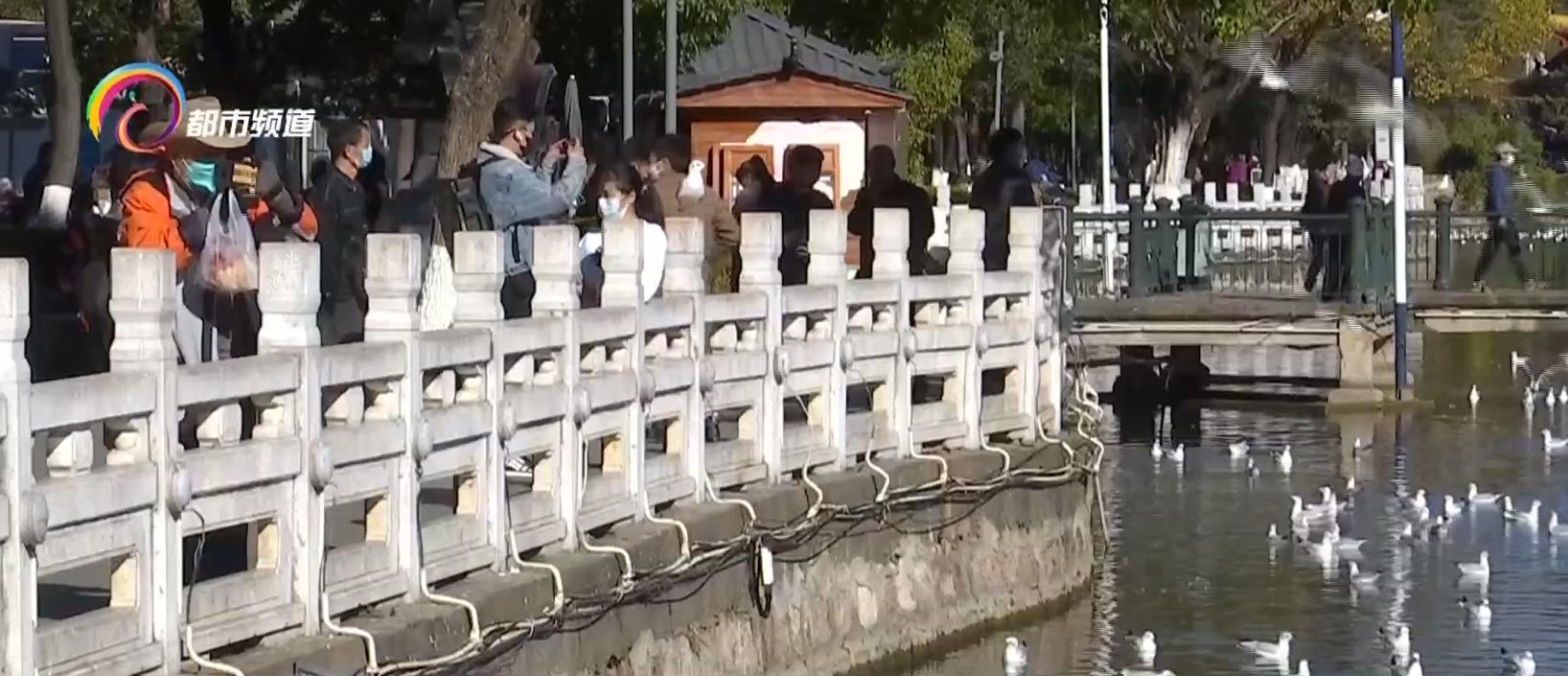 云南元旦假期旅游,元旦放假来云南旅游的人大量增多