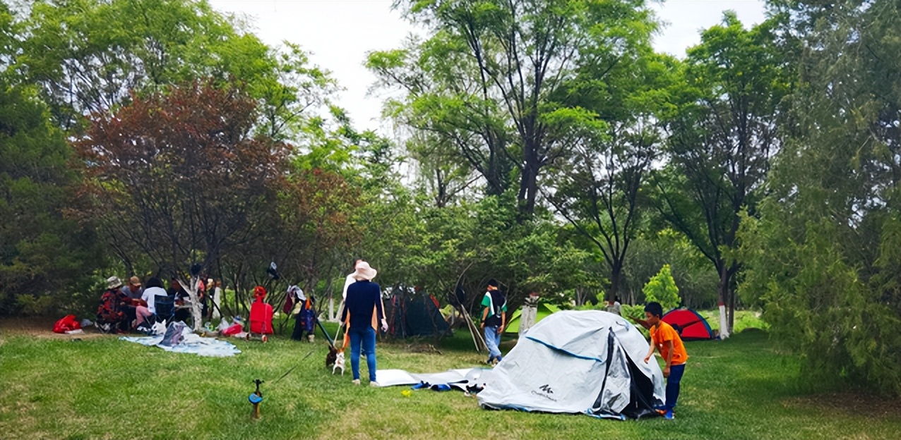 银川露营过夜地点推荐,银川湿地公园露营