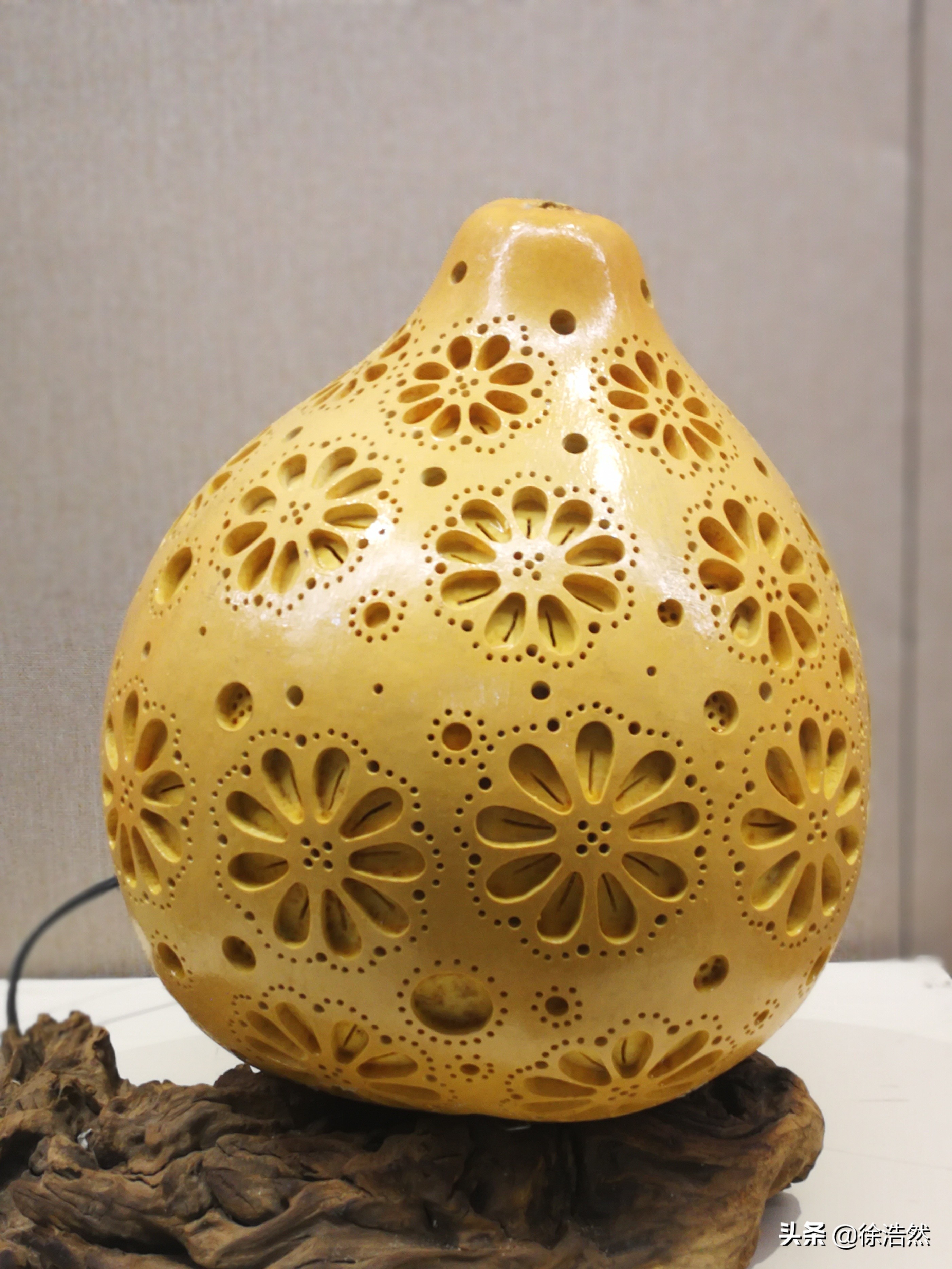 葫芦发家致富,种大葫芦利润