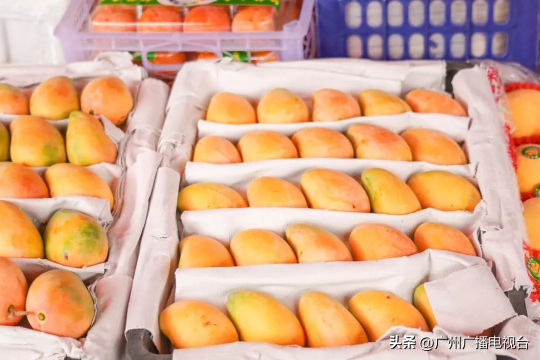 广州黄沙水产交易市场是否开放,广州黄沙水产批发市场最新消息