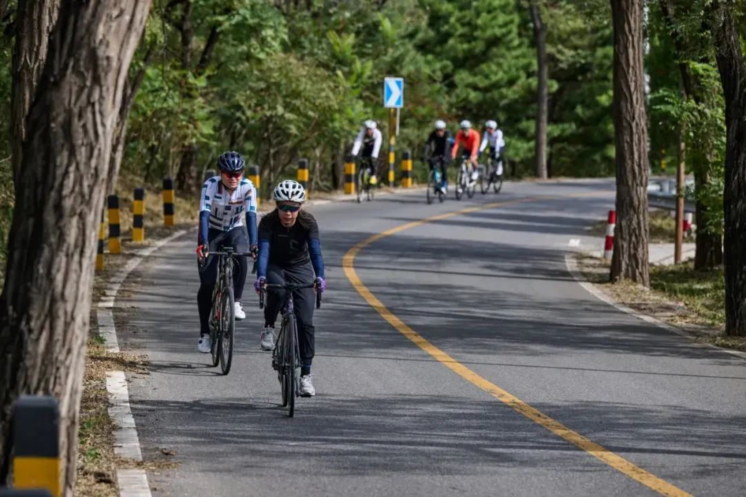 爱骑行最新版本,爱骑行2023