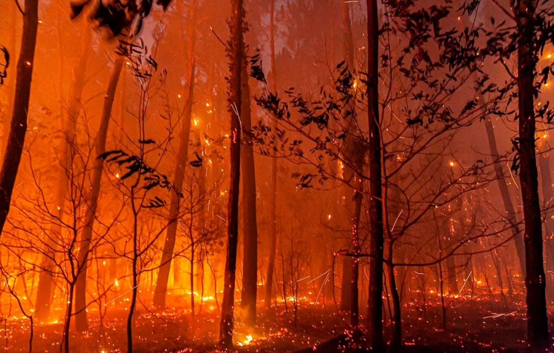 英国40度！法国40度！西班牙40度！这么热还没空调，猪都要涂防晒