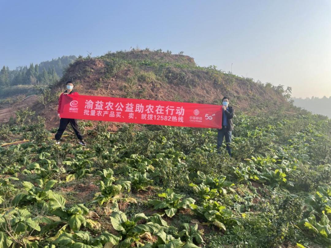 产销衔接服务平台,帮卖农产品对接平台